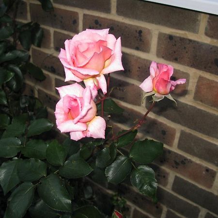 Bed and Breakfast Avebury Life Exterior foto