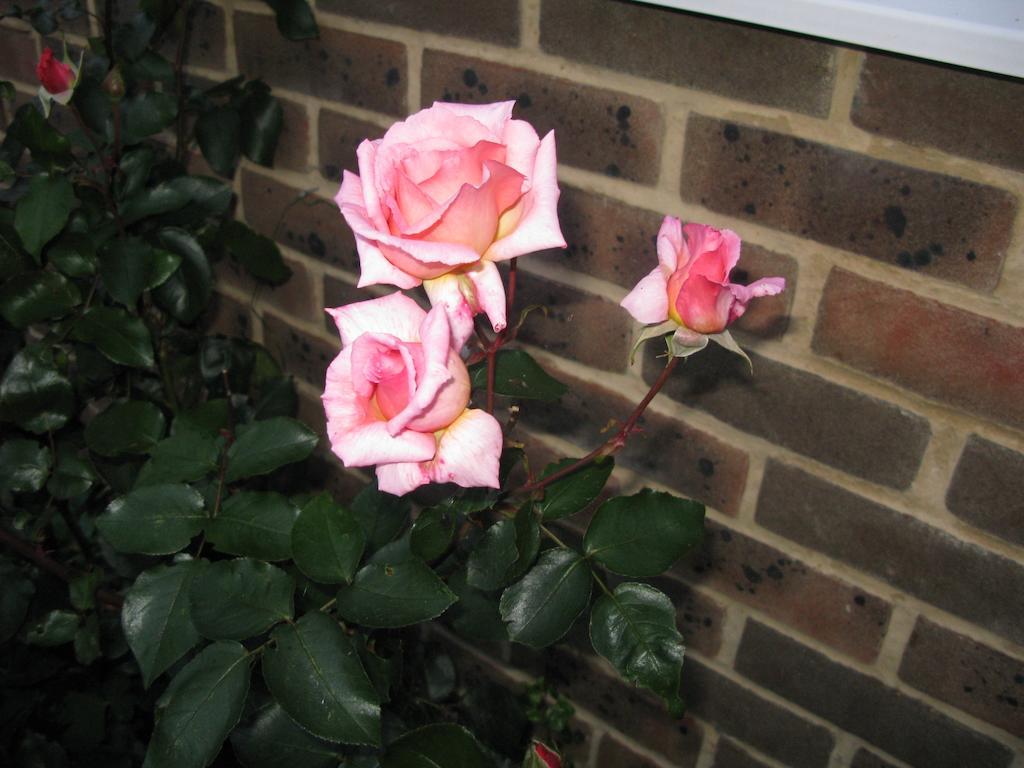 Bed and Breakfast Avebury Life Exterior foto